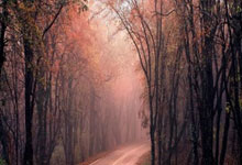 体育生态新探索 共筑全民运动新未来.