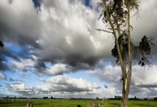 喜讯！国足出线迎转机，25岁归化对象有望驰援，6月份2连胜=晋级.