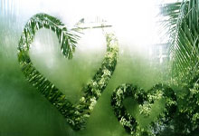 [足球之夜]谢文能：时刻准备着.