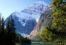 加克波在荷兰队37场直接参与21球，仅次于亨特拉尔.