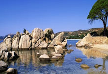 [欧冠]A组第1轮：拜仁VS马竞 完整赛事.